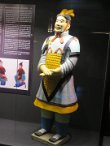 IMG_2420