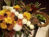 IMG_20181105_164229