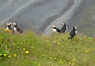 wagnerdenise.islande